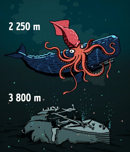 1687652038160.png