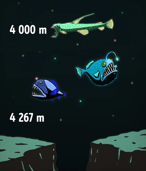 1687652230959.png