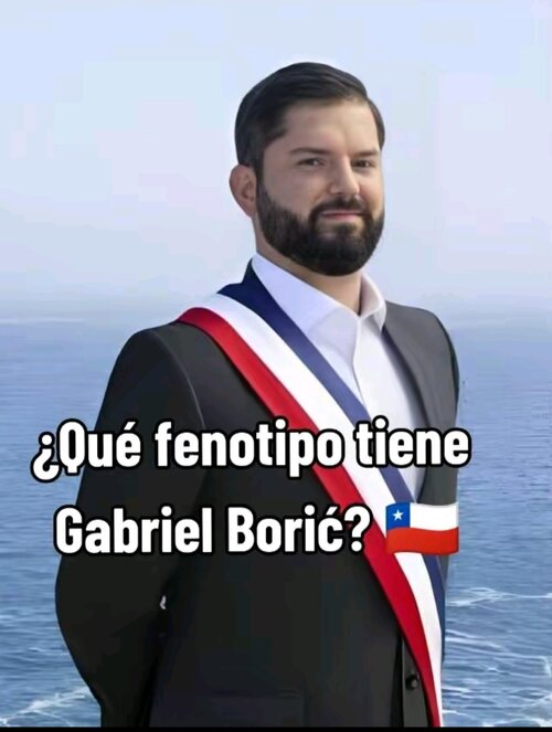 Boric1.jpg