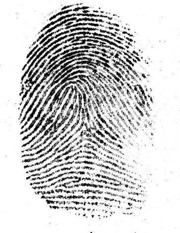 1000033489.jpg 1000033489.jpg
