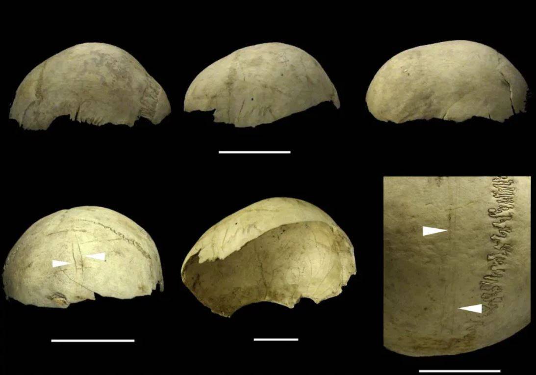 Los-humanos-fabricaron-craneos-copa-hasta-hace-4.000-anos.jpg