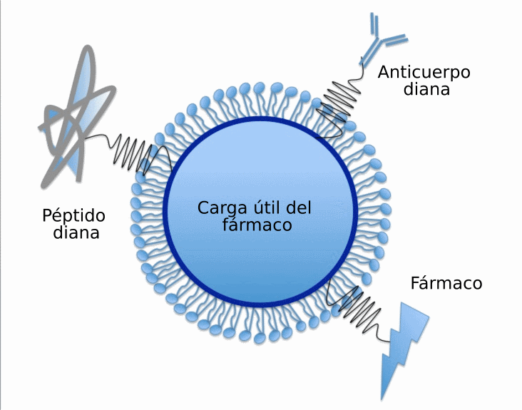 SolidLipidNanoparticle-es.png