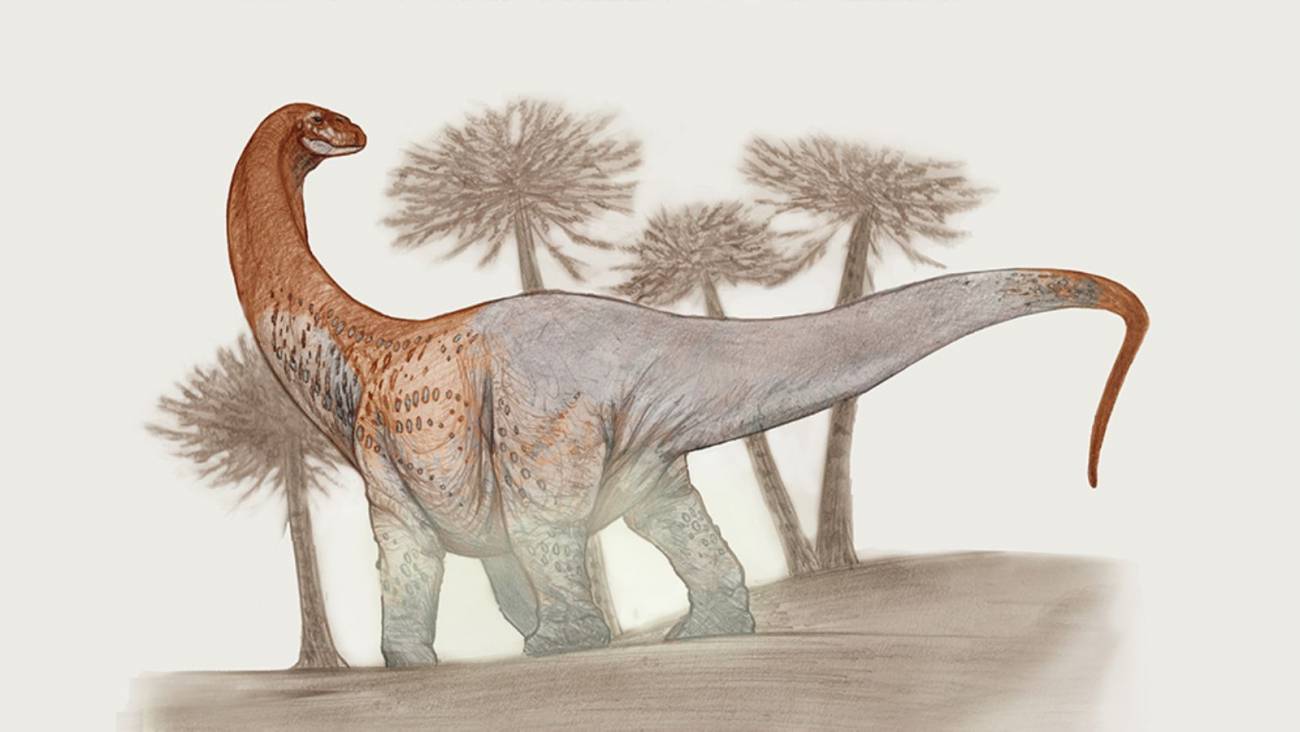 Nueva-especie-de-dinosaurio-gigante-encontrada-en-la-Patagonia.jpg