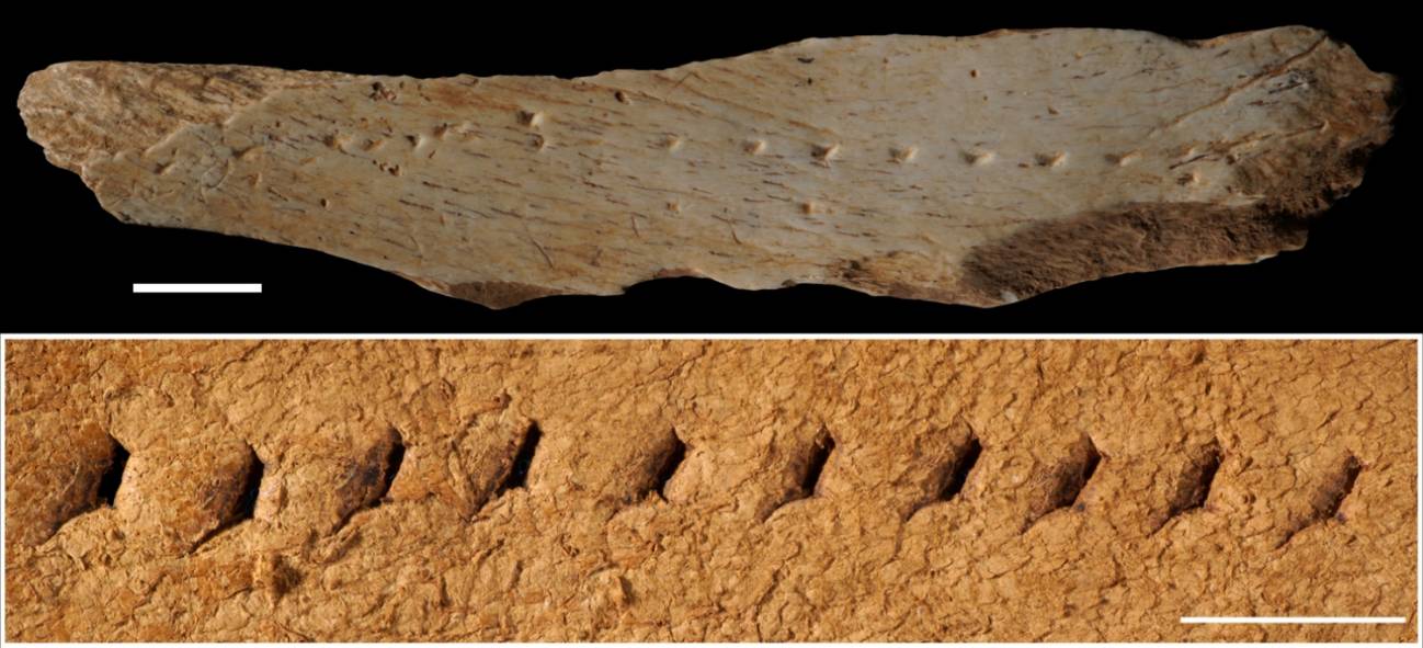 El-Homo-sapiens-cosia-sus-prendas-como-un-zapatero-hace-39.000-anos.jpg
