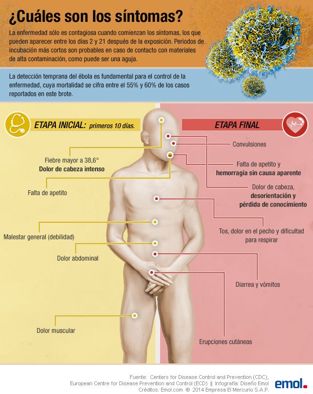 infografia-ebola.jpg