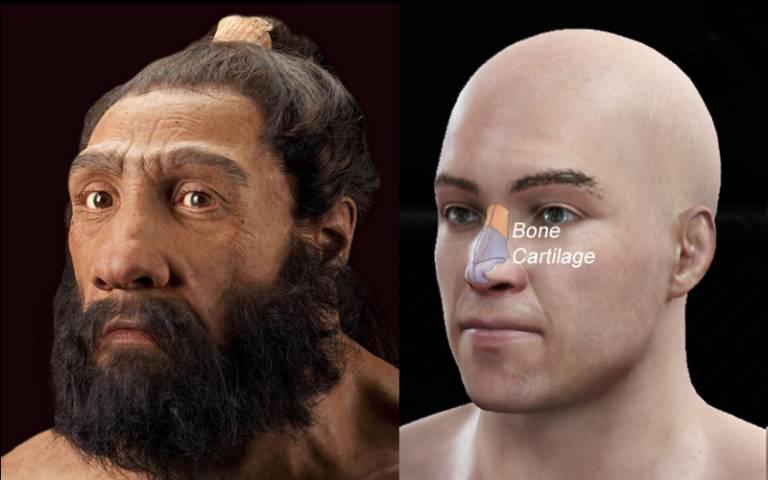 neanderthal_noses.jpg